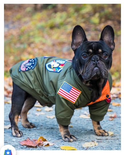 TOP GUN® DOG BOMBER JACKET