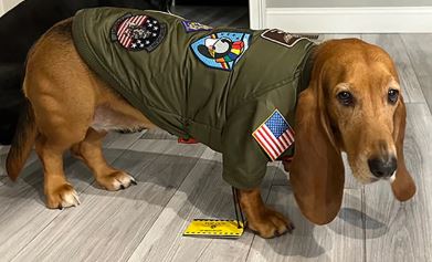 TOP GUN® DOG BOMBER JACKET