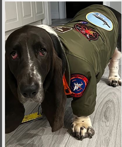 TOP GUN® DOG BOMBER JACKET