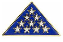 MEMORIAL FLAG PIN