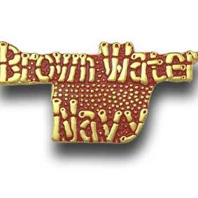 Pin with a design of Brown Water Navy
