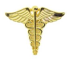 A gold-colored metal pin shaped like the medical caduceus symbol, with wings on either side of a vertical staff.