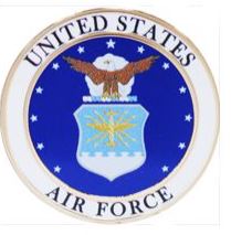 USAF EMBLEM D PIN