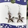 Starfish-shaped earrings on a card with 'Fash' branding.