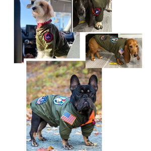 A collage of four images showing dogs wearing green Top Gun-inspired bomber jackets with embroidered patches.
