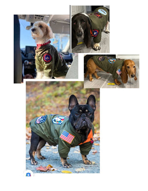 A collage of four images showing dogs wearing green Top Gun-inspired bomber jackets with embroidered patches.