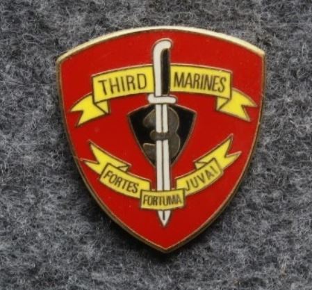 3rd Marine Regiment Pin