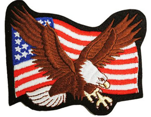 USA Eagle Patch