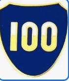 Us Army 100th Infantry Division Hat Pin