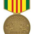 A bronze colored metal pin with green, yellow, and red stripes, and the text 'VIETNAM SERVICE' on it.