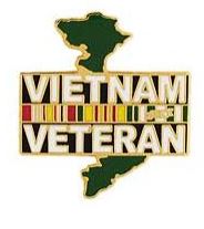 VIETNAM VETERAN PIN