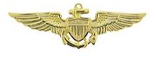 MILITARY & PATRIOTIC PINS & EMBLEMS