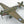 Corgi Aviation Archive U35212 - P-40E Warhawk of Captain Robert H Vaught-9th FS/49th FG, Livingstone Field, Darwin, Australia, Summer of 1942