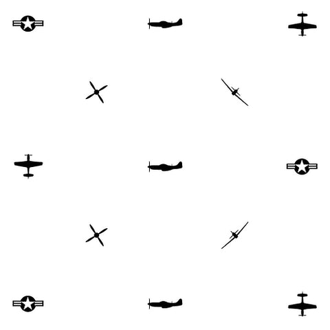 P-51 with propeller and Air Force roundel