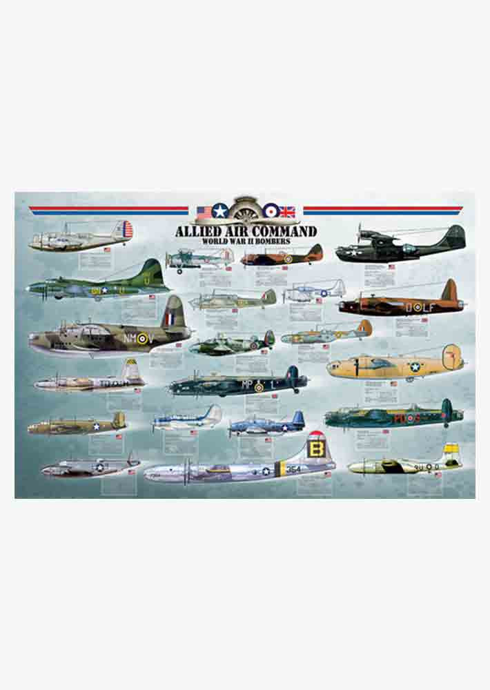 Allied Air Command Poster