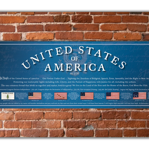United States of America Poster
